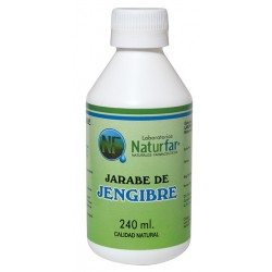 JENGIBRE (envios regionales y nacional) FCO 240ml