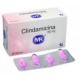 Clindamicina 300 mg ( ENVIOS REGIONALES NACIONAL) Caja *24 Cápsulas - Tecnoquímicas