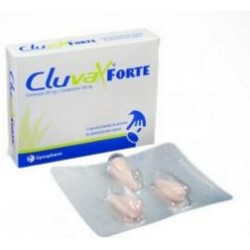 Cluvax Forte 200 mg + 100 mg (ENVIOS REGIONALES Y NACIONAL)Caja *3 Cápsulas Blandas de Gelatina – Laboratorios Synthesis